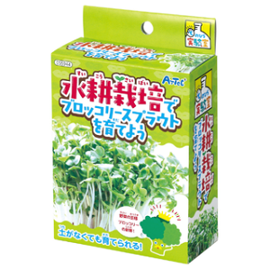 k͔|ŃubR[XvEgĂ悤