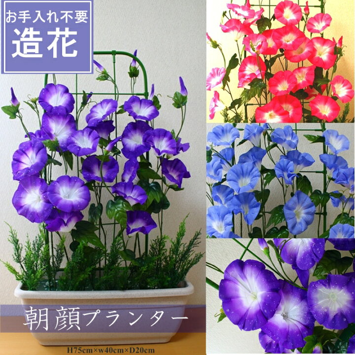 楽天市場 造花アサガオプランター朝顔送料無料3色よりお選び下さい水滴付 造花の専門店 きつつき 楽天市場 造花アサガオプランター朝顔送料無料3色よりお選び下さい水滴付 造花の専門店 きつつき