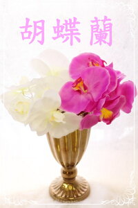 Ԍa10cm 5{Zbg1{140~ N₩ i A[eBVt[ Ӓ F 1000~ȓ a m  j AWg Gߊ  nhCh vȂ 