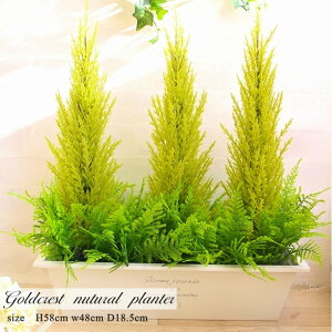 屋外 プランター 観葉植物の人気商品 通販 価格比較 価格 Com 屋外 プランター 観葉植物の人気商品 通販 価格比較 価格 Com