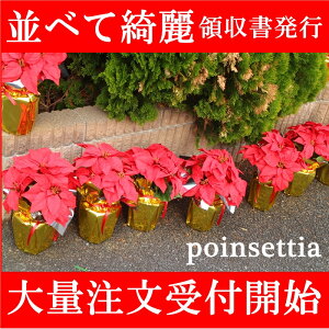 yVfC[LO1ʎ ʒ\ Ԃς|CZ`A  |CZ`A  A[gt[ NX}Xt[  |CZ`A  蕨 v[g bs