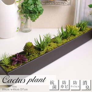 CeA e[uZ^[AW A  bsO\ tFCNO[ AWg O[ fBXvC yԁzylHϗtAA̒Ԃzy