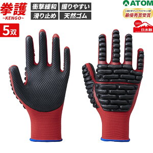  5oZbg Ǝ veNg ~ ݍ VRS ی h ^  z H z DIY { Ag ATOM 1138