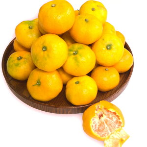 _ ݔ_ LY咷 ݂ 5kg ƒp TCY낢  L݂ L艺__