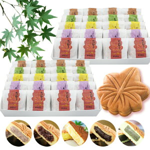 L ܂ ݂t@~[@20 2Zbg ݁@\ { yY G7 LT~bg