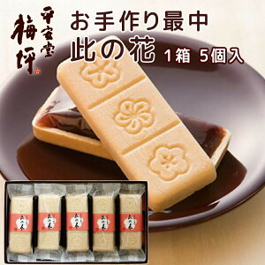 L Œ ̉ 5 񂰑ܕt  S Ȃ XC[c yY ~