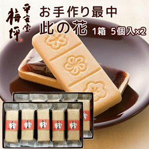 L Œ ̉ 5 2Zbg 񂰑ܕt  S Ȃ XC[c yY ~