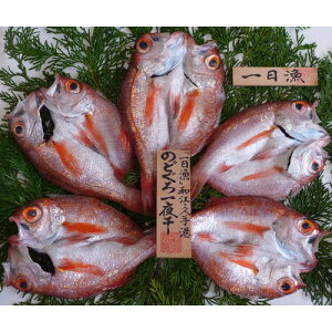 産地直送 島根県沖産 のどぐろ一夜干 5〜6枚(約410g) 送料込み (冷凍) ギフト 干し物 お取り寄せ 岡富商店