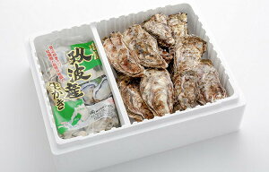 Yn LY  ނg1kg+kt2kg(12`16) N[ {ߊCŊlꂽ嗱  JL y ()A~XC