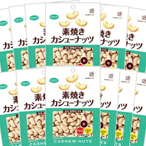 JV[ibcp fĂ145g 12܃Zbg  Hi  Asgp