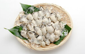 Yn LY  ނg 1kg N[ {ߊCŊlꂽ嗱  JL y  ()A~XC