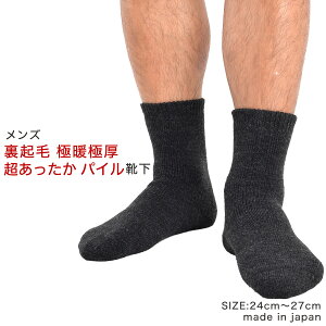  Y N ɒgɌ C { 24`27cm  S  ₦Ȃ h fM pC\bNX ₦ ₦ ₦΍ ₦Ƃ ۉ E[ 