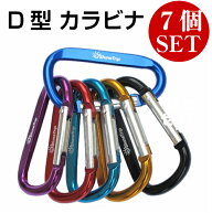 カラビナ D型 7個セット アウトドア 登山 キャンプ 旅行 キーホルダー メール便 送料無料
