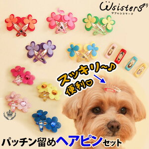 y[։z  wAs pb` ybgpi wAANZT[ 킢 lC V ^ DogPose hbO|[Y Ki WSISTERS _uVX^[Y _uVX yDPpb`߃wAs