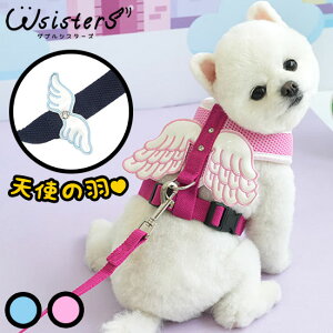 y[֑zy݌ɏz  n[lX p [h hbOEFA ybgpi o U  킢 bV lC V ^ t  H  ParisDog pXhbO 