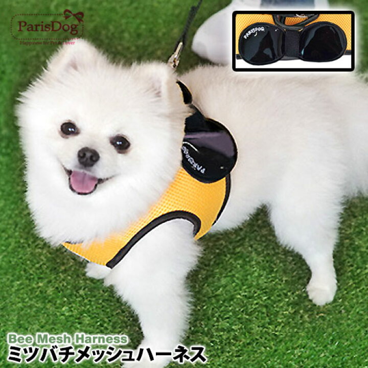 楽天市場 メール便1個まで可能 犬 ハーネス リード メッシュ 蜂 羽根つき ペット用品 お出かけ 散歩 胴輪 かわいい メッシュ 人気 新作 小型犬 春夏 秋冬 イエロー Parisdog パリスドッグ 正規品 Wsisters ダブルシスターズ ダブシス ミツバチメッシュハーネス 楽天市場 メール便1個まで可能 犬 ハーネス リード メッシュ 蜂 羽根つき ペット用品 お出かけ 散歩 胴輪 かわいい メッシュ 人気 新作 小型犬 春夏 秋冬 イエロー Parisdog パリスドッグ 正規品 Wsisters ダブルシスターズ ダブシス ミツバチメッシュハーネス