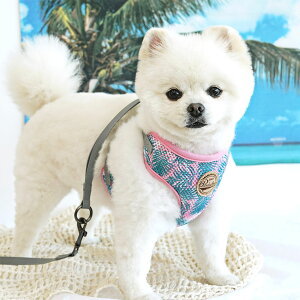 y[֑z  n[lX [h {^jJ gsJ ybgpi o U  킢 bV lC V ^ Z[  ParisDog pXhbO Ki WSISTERS _uV