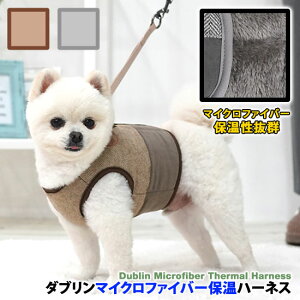 y[֑z  n[lX [h hbOEFA ybgpi o U  킢 lC V ^ t H~ u[ sN ParisDog pXhbO Ki WSISTERS _uVX^