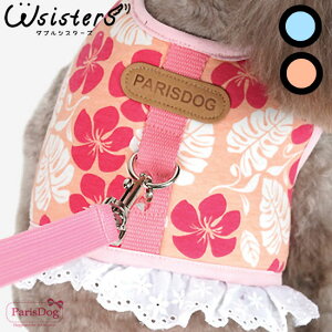 y[֑z  n[lX [h hbOEFA ybgpi o U  킢 lC V ^ t  H ~ u[ sN ParisDog pXhbO Ki WSISTERS _uVX