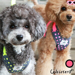 y[֑z n[lX hbOEFA ybgpi o U  킢 lC V ^ Z[ IV fUC ItsDog CchbO CbchbO Ki WSISTERS _uV