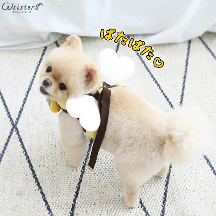 楽天市場 メール便のみ 送料無料 犬 ハーネス 羽付き ミツバチ お出かけ 散歩 胴輪 ペット用品 かわいい 人気 新作 小型犬 セール お出かけ Itsdog イツドッグ 正規品 Wsisters ダブルシスターズ パタパタミツバチハーネス ハーネスのみ Wsisters ダブル