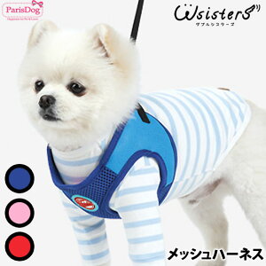 y[֑z  n[lX [h v U[ ybgpi o U  킢 bV lC V ^ Z[ t  H ~ ParisDog pXhbO Ki WSISTERS _u