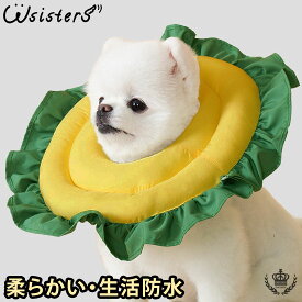 【アウトレット特価・送料無料】 犬 猫 エリザベスカラー 生活防水 ドーナツ型 円型 ケアー用品 皮膚保護 かわいい 人気 新作 小型犬 ソフト 届きにくい DogPose ドッグポーズ 正規品 WSISTERS ダブルシスターズ ダブシス 【ひまわりソフトエリザベスカラー】