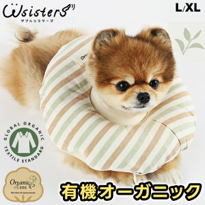 yz L GUxXJ[ \tg I[KjbN PA[pi Ags[ q 畆ی 킢 lC V ^ Z[ ItsDog CchbO CbchbO Ki WSISTERS _uVX