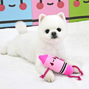 y[։z   [v _炩  킢 lC V ^ ParisDog pXhbO Ki WSISTERS _uVX^[Y yNgCz