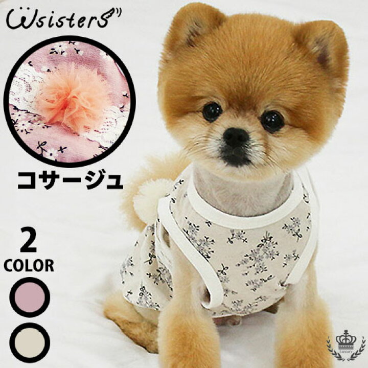 楽天市場】【メール便送料無料】 犬 タンクトップ 服 犬服 ドッグ 