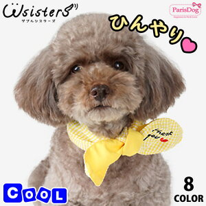 (30%l)y[֑z  N[lbN Ђ N[ XJ[t o_i pWF ACX ėp U o 킢 lC V ^   ParisDog pXhbO 