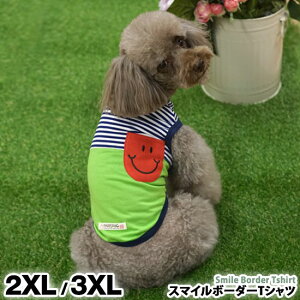 y[֑z  ̕ hbOEFA TVc 킢 lC V ^ Z[ t  H {[_[ u[ sN ParisDog pXhbO Ki WSISTERS _uVX^[Y _uVX 