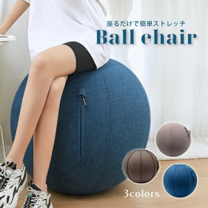 【送料無料】 バランスボール 65cm 体幹 鍛える 体幹ボール 体幹クッション おしゃれ フィットネスボール インテリア バランス ボール ヨガボール 65センチ トレーニング エクササイズ 腹筋