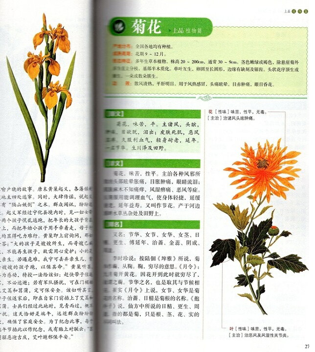 楽天市場】図解 神農本草経 中国漢方薬経典 中医薬草図鑑 中国語書籍 