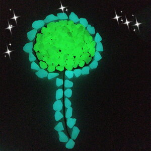 P10{Ԋҁ3,546~!^  p        ANAE 1KGZbg ~ ANAE   DIYEHpi K[fjO Jt ANZT