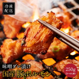 ホルモン焼き 焼肉 とんちゃん 国産豚 味噌ダレ漬け 250g（3~4人前） 冷凍配送 焼肉 ごはんのおとも ギフト にどうぞ！