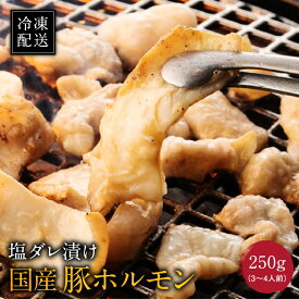 ホルモン焼き 焼肉 とんちゃん 国産豚 塩ダレ漬け 250g（3~4人前） 冷凍配送 焼肉 ごはんのおとも ギフト にどうぞ！