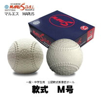 楽天市場】m号 マルエス 6個の通販