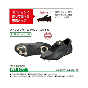 y25.5znCS[h 싅 XpCN XpCN py M[Jbg ubN PKS1077