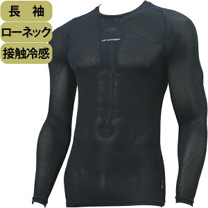 y[lbN  ڐG⊴zGXGXPC SSK 싅 A_[Vc lCr[ wdgp { vGbW ESCB023LL