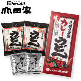 ネット限定商品！メール便でポストにお届け！　純生讃岐カレーうどん　2人前　※商品個別に送料が掛かります。※メッセージカード・日時指定不可【CR-2R】