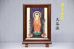  | u y^@ Jh [U[Hzti20cm×13.5cm×s1.7cmjɔ@ \ ㎚ _I _  ~ ܂ RK