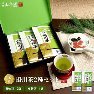 {  t Qq100g×1+|[100g×2܃Zbg  Y  t |쒃 JeL { Mtg Ε Ε v`Mtg  j 2025 v[g җj j 