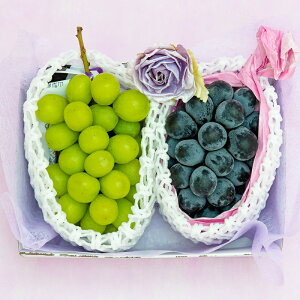 楽天市場】☆[ご進物用/秀品]果物籠盛ギフトM（シャインマスカット・ナガノパープル詰め合わせ）【送料無料/のし対応】［ぶどう 葡萄 巨峰 夏ギフト  旬の果物 くだもの 果物セット フルーツセット フルーツギフト 出産内祝い 退院祝い 贈答用 敬老の日]：美味しい果物屋 ...