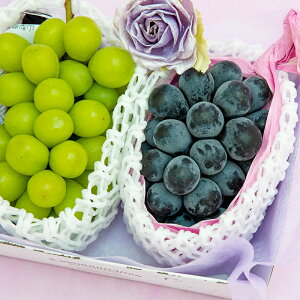 楽天市場】☆[ご進物用/秀品]果物籠盛ギフトM（シャインマスカット・ナガノパープル詰め合わせ）【送料無料/のし対応】［ぶどう 葡萄 巨峰 夏ギフト  旬の果物 くだもの 果物セット フルーツセット フルーツギフト 出産内祝い 退院祝い 贈答用 敬老の日]：美味しい果物屋 ...