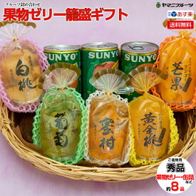 果物ゼリー 籠盛 ギフト【ゼリーK】 あす楽 送料無料 籠盛 中元 お中元 早割り お中元ギフト お盆 お供え 新盆 お見舞い お祝い お礼 ギフト フルーツゼリー 出産内祝い 誕生日 袋ゼリー 無料ラッピング 淋見舞い ご霊前 ご仏前 ゼリー