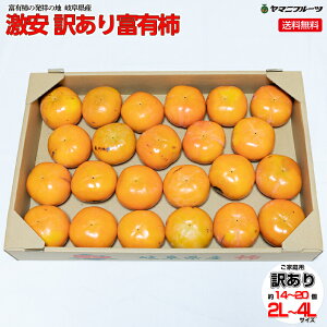 sale Z[yƐFÂĂ܂ITCY召A܂zyyVsňlɒ큙 10kg(dʍ) 35`50S`4LTCYzڋʏi ƒp 󂠂i 򕌌Y  򕌎Y