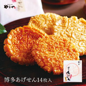 ܂ 14(B  َq  yY  O ܂ yY A Mtg JWAMtg v`Mtg q qǂ)