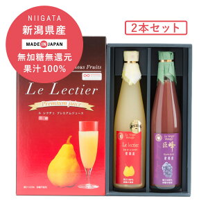 }ʎ N`FW[X W[X 500ml 2{Zbg ʏ`100% Xg[gW[X Mtg@Zbg N`F  Y@Ԃǂ@m@@蕨@䒆@Ε