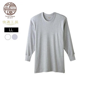 LLTCY O[  K H[  100 GUNZE O[KH[ ێ am kb GUNZE11 qW KH3008